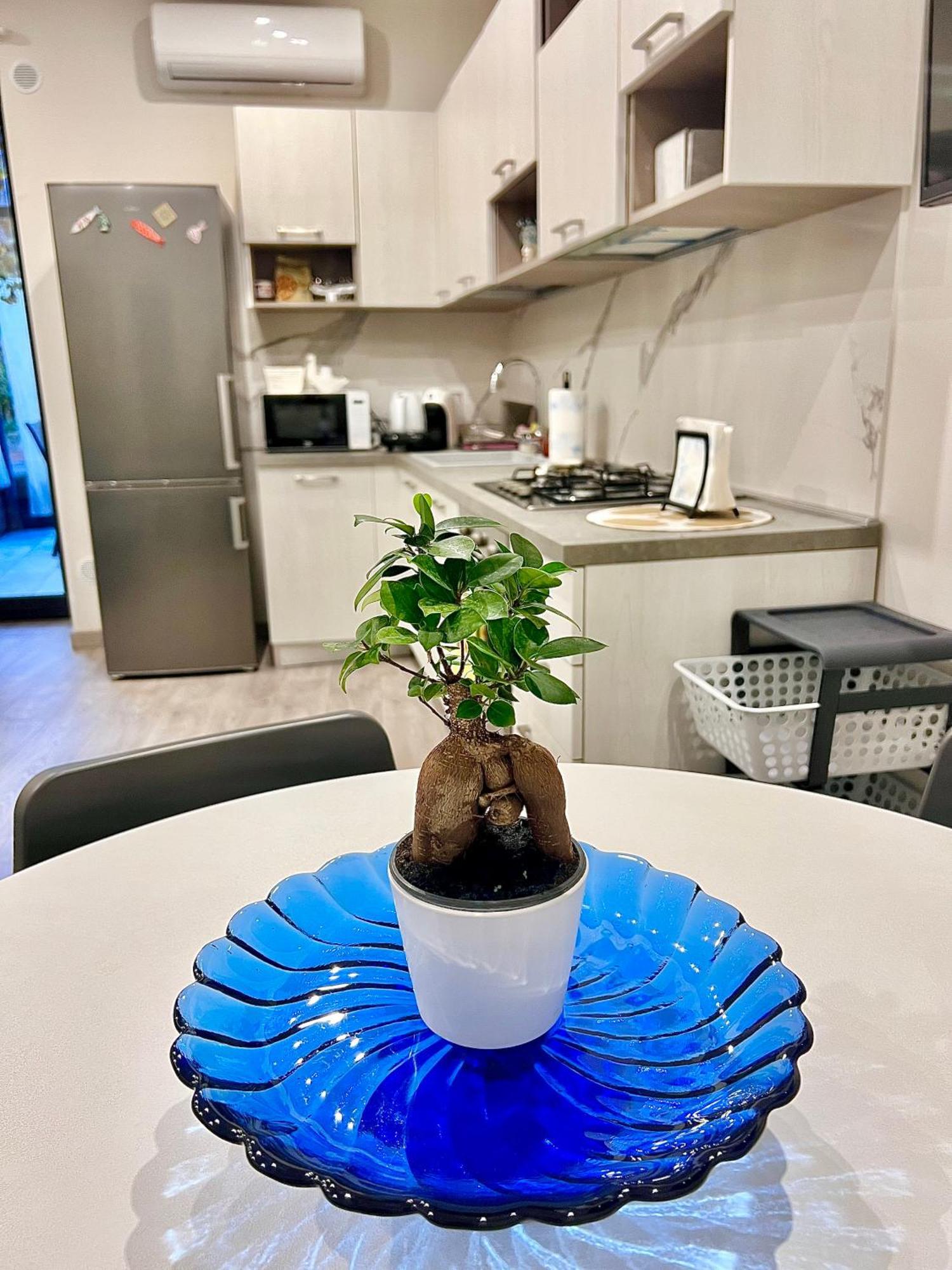 La Casa Di Gio - Free Space N26 ニコロージ エクステリア 写真